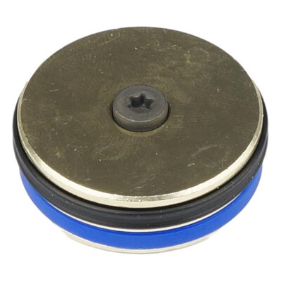 Reservoir Internal Floating Piston Assy 2009-2011 Vivid/Vivid Air