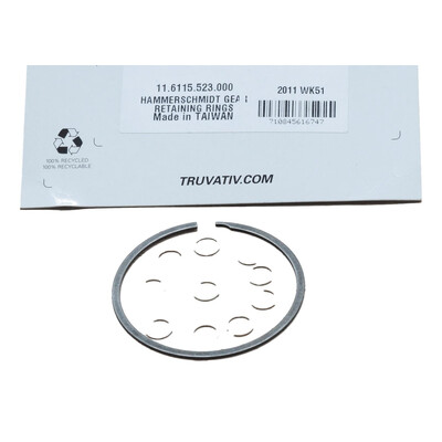 HammerSchmidt Planet Gear Retaining Rings - Silver