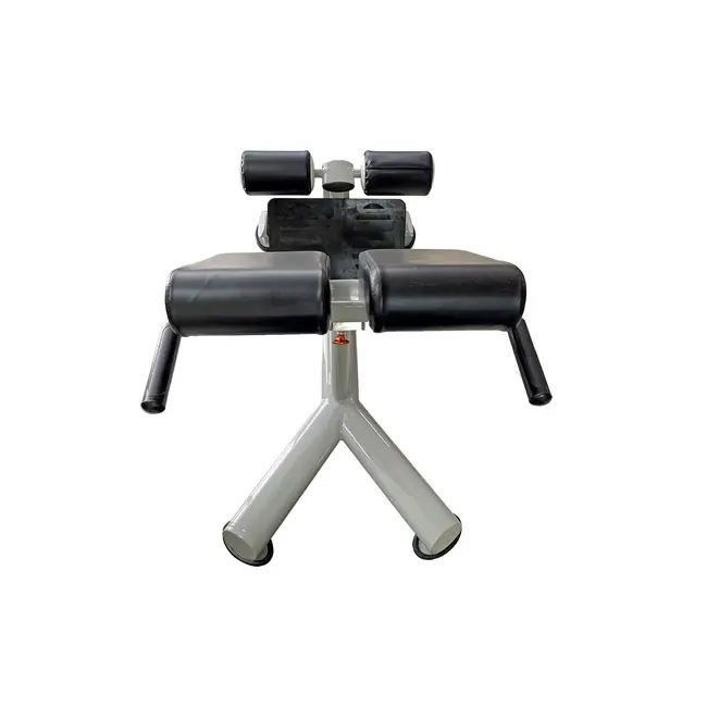 Aparat Hiperextensie Abdomen/Spate, Otel, Dhs K004